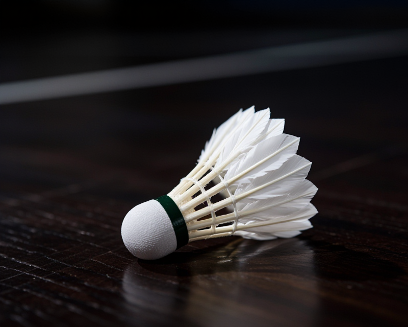 Badminton Focus